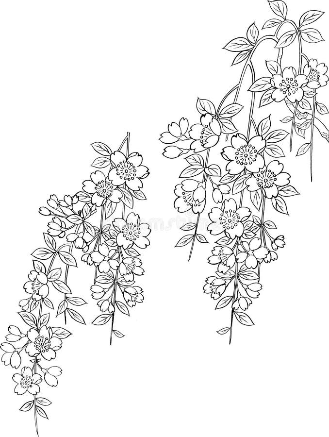 Japanese floral vector