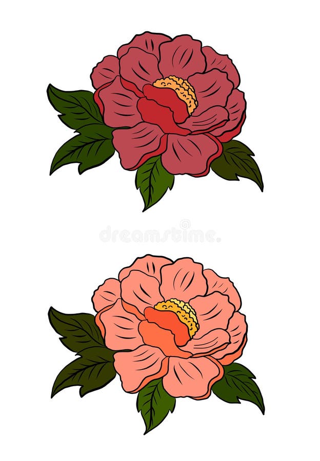 Beautiful Meaning and Symbolism of Camellia Flower  Florgeous