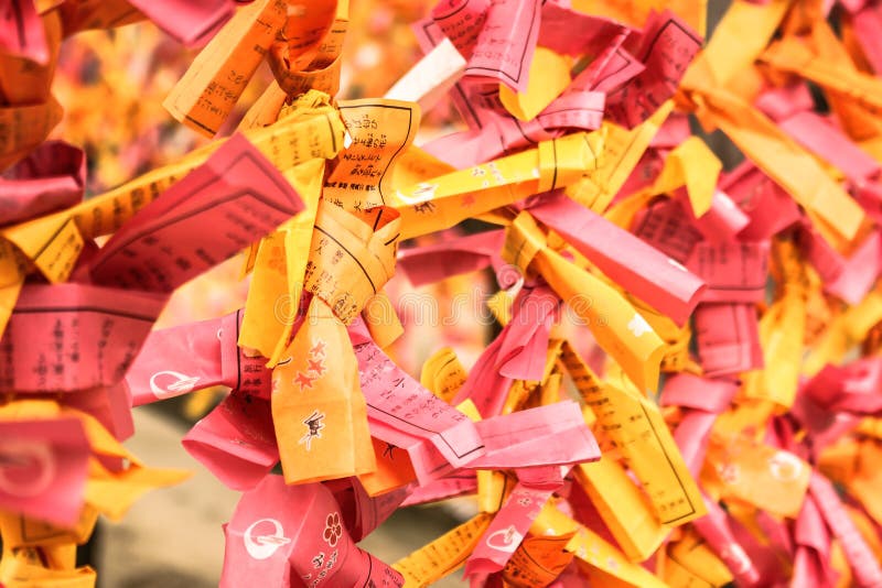Japanese Fortune teller stock photo. Image of faith, teller 51444516