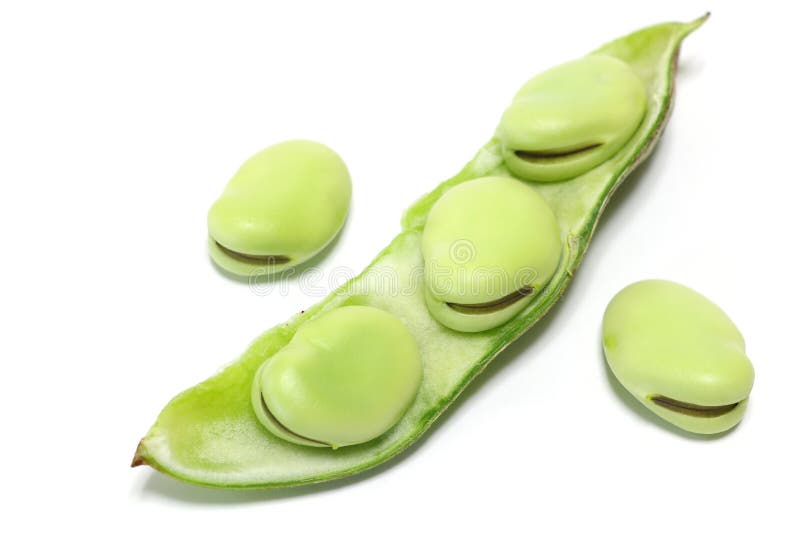 White Lunch Plate Assortment Close Up 2 Stock Photo Image of fried