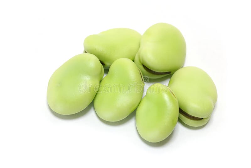 Japanese Fresh Broad Bean in White Stock Image Image of healthy