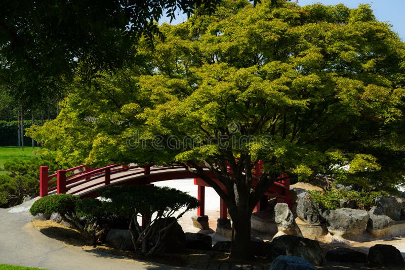 Red Wood Bridge In Japanese Tea Garden Stock Photo Image Of Jose