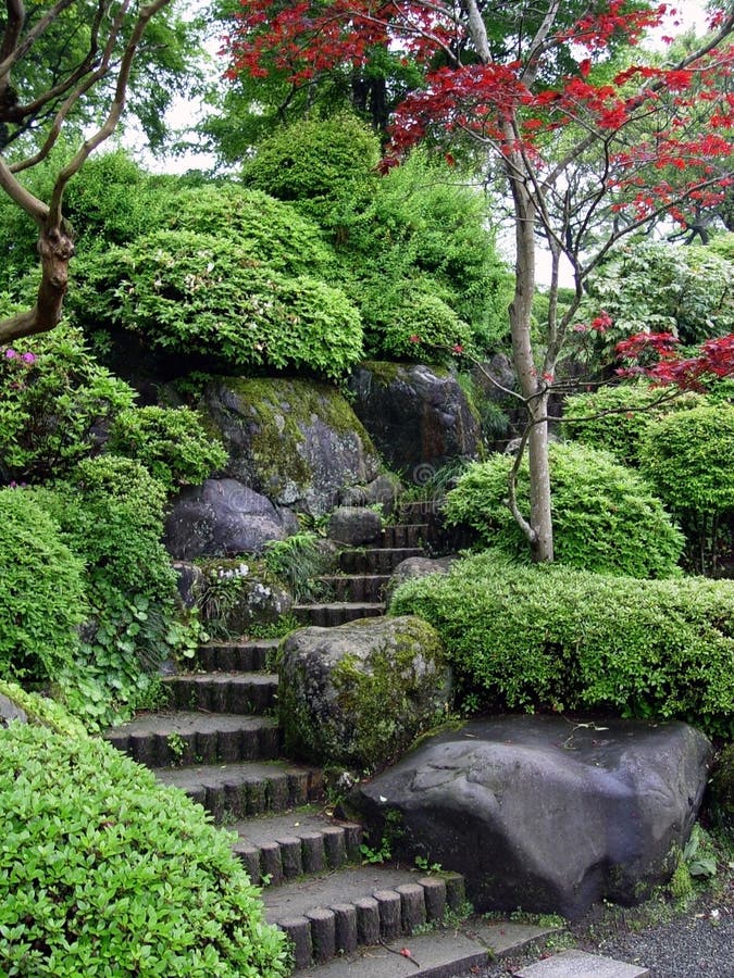 Japonés jardín escalera a árbol de arce un árbol.