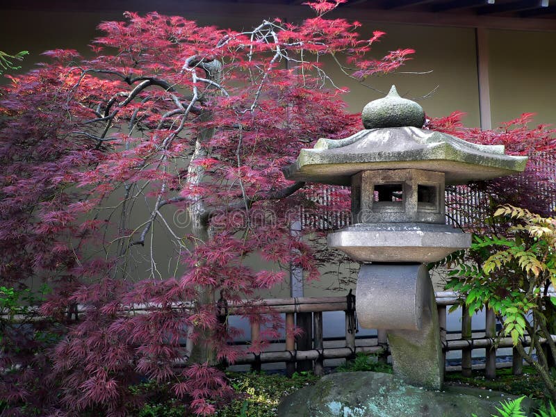 Giapponese lanterna e rosso-albero di acero in un tranquillo giardino in pietra, Tokyo, Giappone.