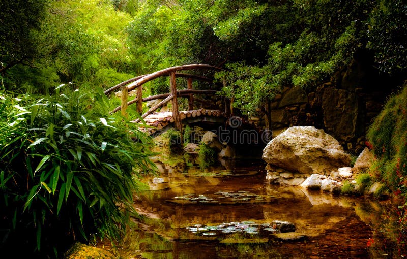 Un ponte sopra l'acqua in un giardino Giapponese in Austin, Texas.