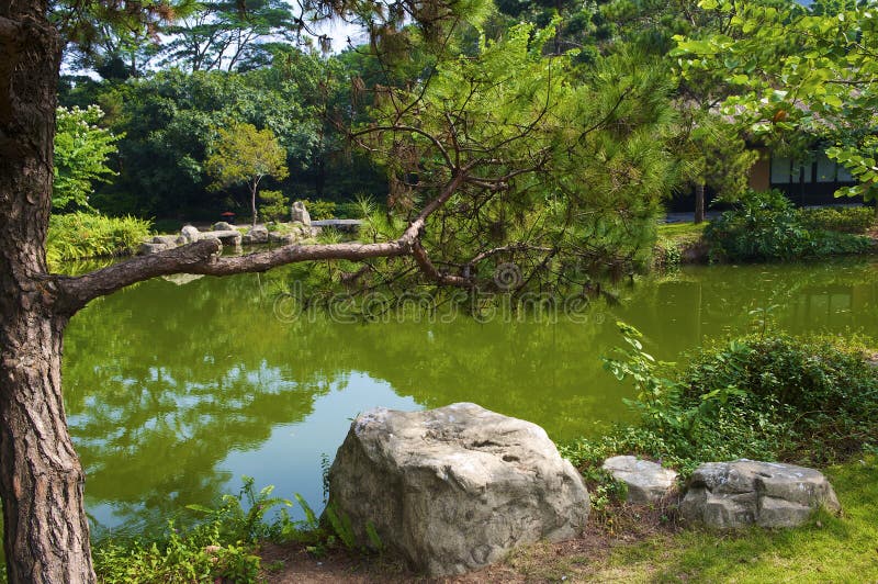 The Japanese garden