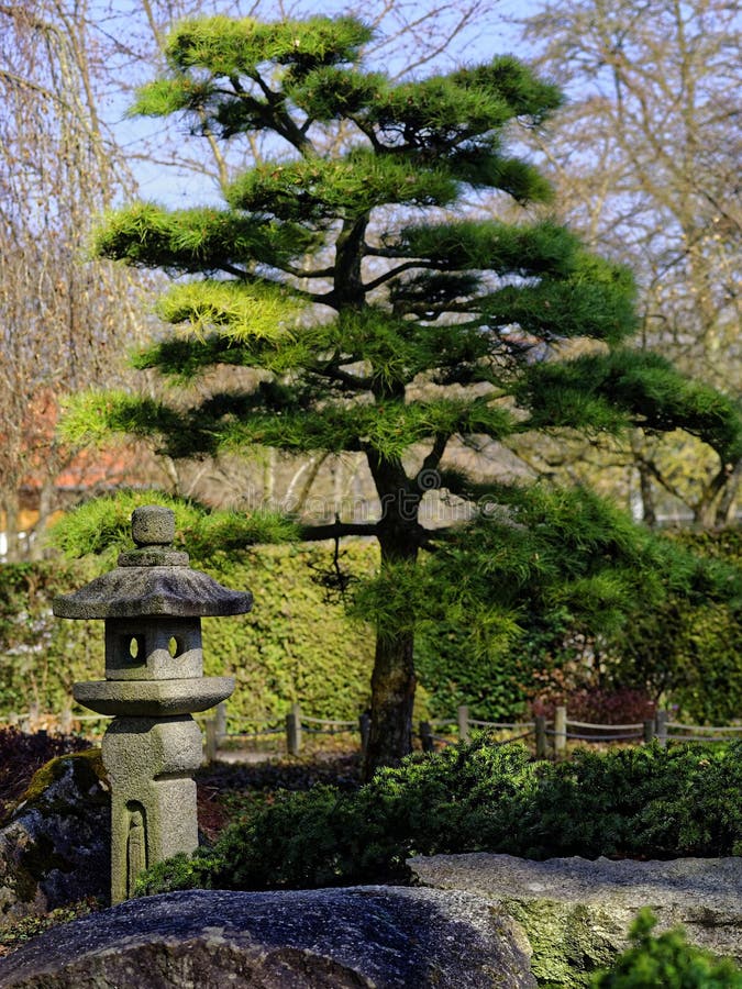  Japanese  Garden Landscaping Detail Stock Image Image of 