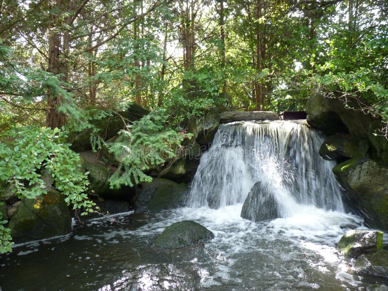Japanese Garden. Exotic Plants, a Pond and a Wooden Bridge Stock Photo Image of meditation