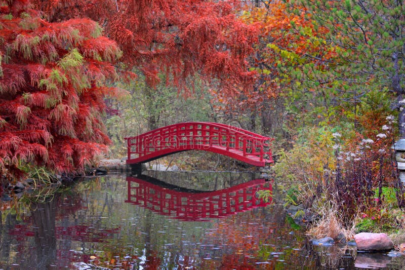 Japanese garden in fall