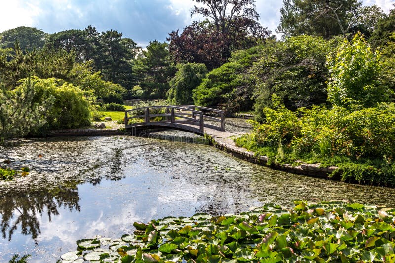 Japanese garden at Roger Williams park