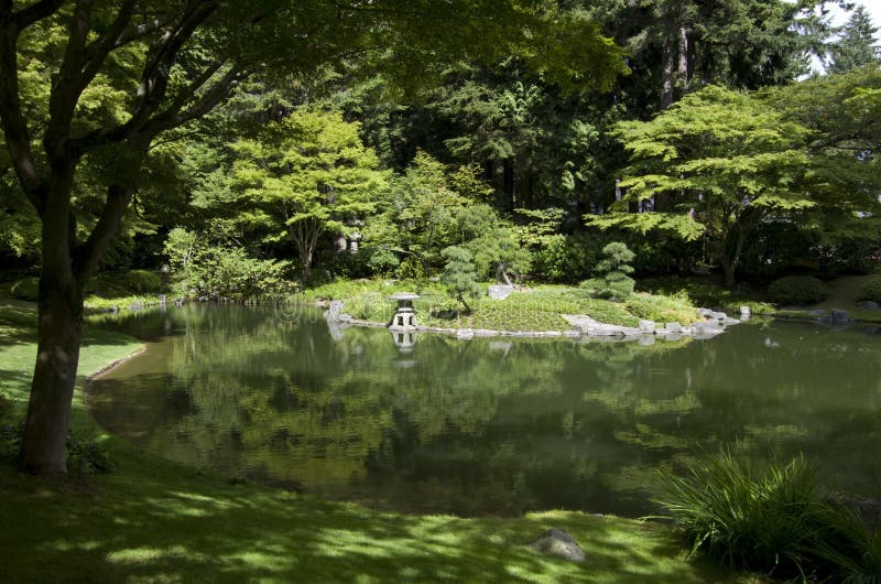 Japanese garden