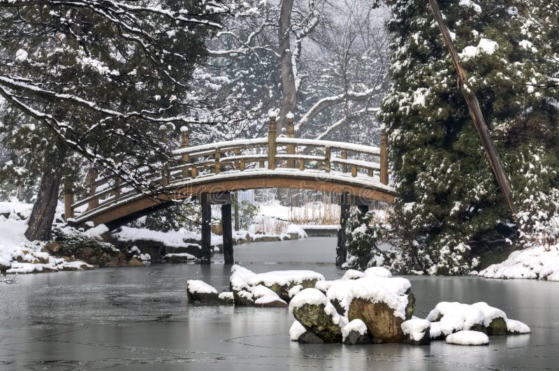 Japanese Garden in Winter