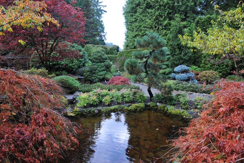 The japanese garden inside the historic butchart gardens in autumn (over 100 years in bloom), vancouver island, british columbia, canada. The japanese garden inside the historic butchart gardens in autumn (over 100 years in bloom), vancouver island, british columbia, canada