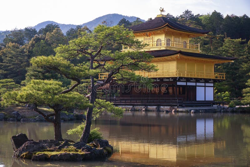 Japanese golden temple Kinkakuji and garden royalty free stock image Japanese golden temple Kinkakuji and garden royalty free stock image
