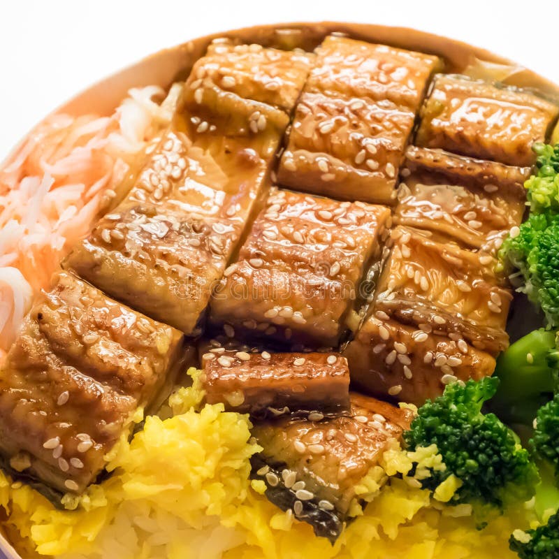 Japanese Grilled Eel and Rice on Bowl Set. Stock Image Image of lunch