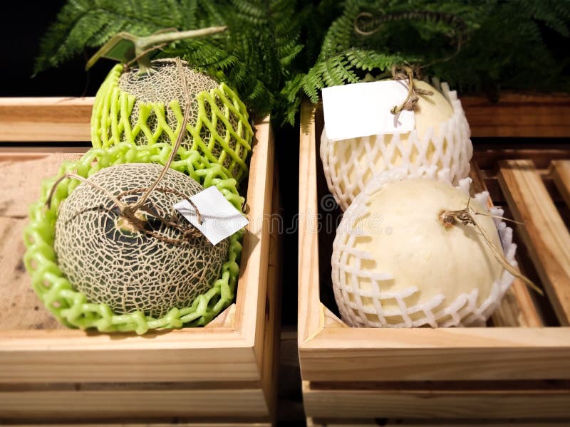 Expensive Honeydew Melons in Hokkaido, Japan Editorial Image Image of