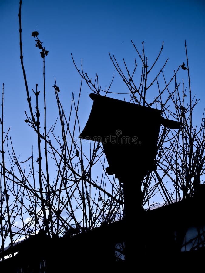 Japanese lantern and shadows of trees stock photography