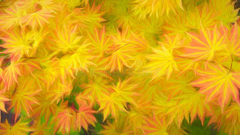 Abstract Japanese Maple Leaves. Japanese maple leaves in shades of orange, yellow, red, and green in watercolor look