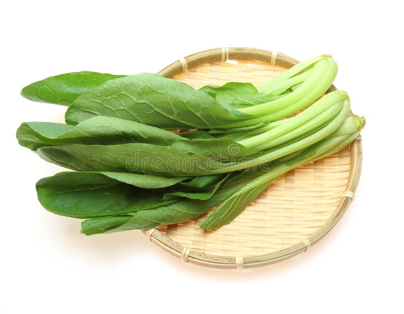 Fresh Japanese Mustard Spinach in the White Stock Image Image of
