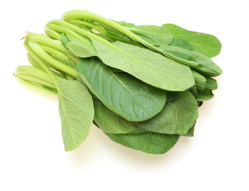 Japanese Mustard Spinach stock photo. Image of white 61621358