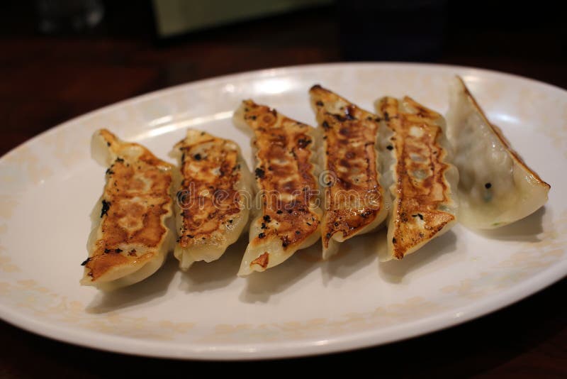 Japanese Panfried Dumplings Stock Photo Image of cabbage, meat 96041610