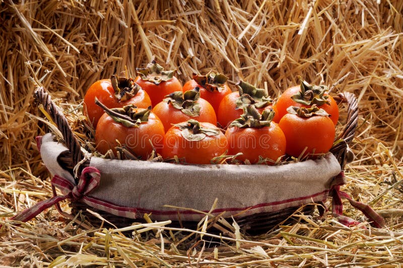 Wicker Basket Full Of Persimmons Fruits Stock Image Image of autumn