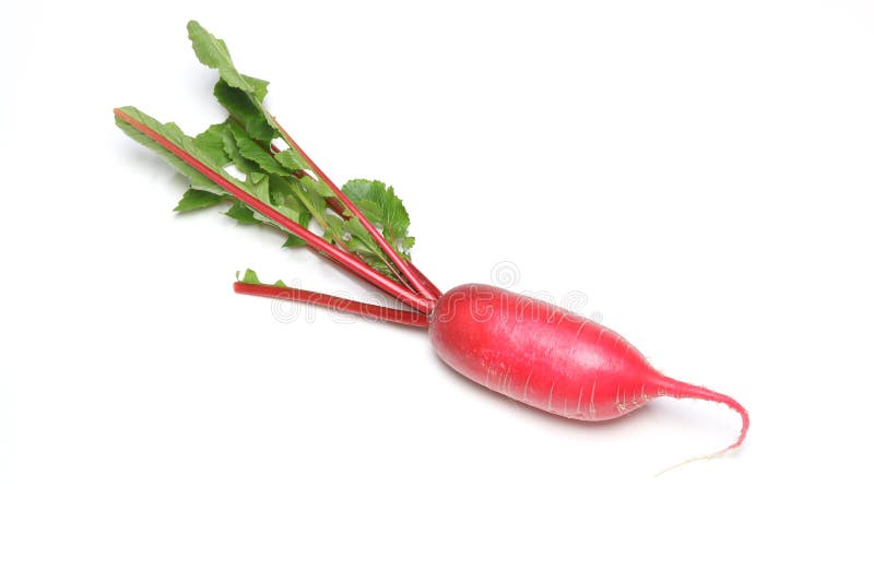 Japanese Radish Leaves in a White Background Stock Photo Image of nutrition, vegetable 140421874