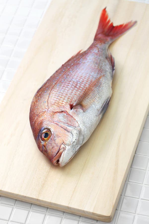 Buy Fresh Tai Snapper Whole Online - Exquisite Pink Sea Bream