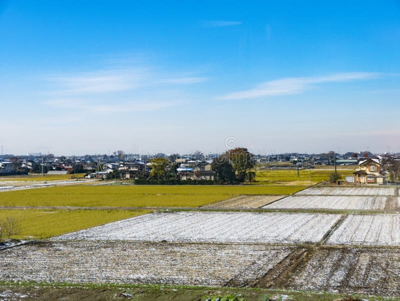 japanese-rural-farmlands-with-first-snow-stock-image-image-of-outdoor