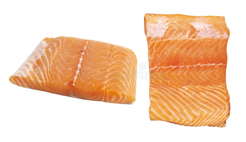 Japanese Salmon on White Background Stock Photo - Image of orange