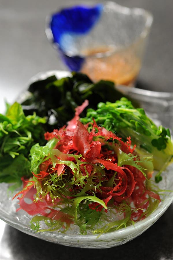 Japanese seaweed salad stock image. Image of dinner, isolated 27266755