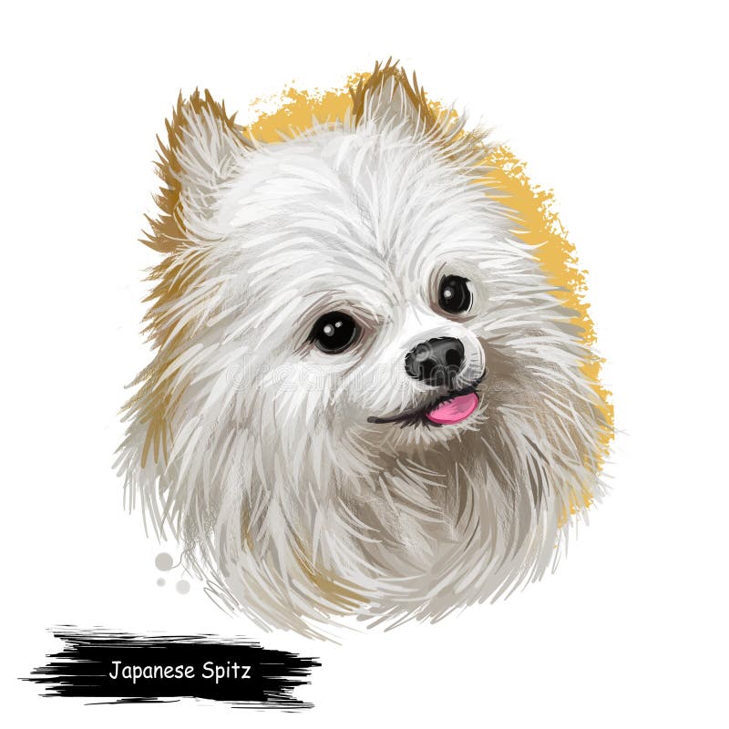 Japanese Spitz Dog Digital Art Illustration Isolated on White ...