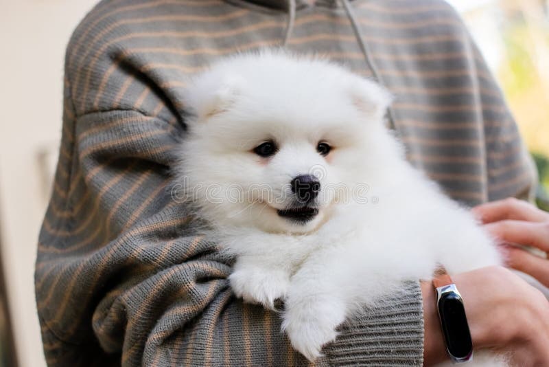 Young Children Boy and Girls Sleeping in Bed at Home, Indoor Stock