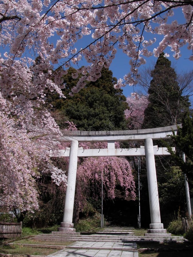 Japanese spring view