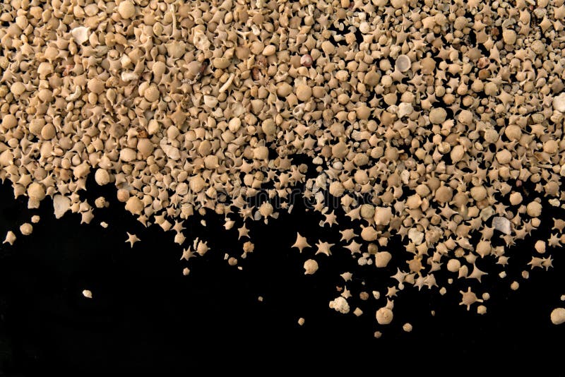 Japan Star sand from Taketomi 30ml Rare 