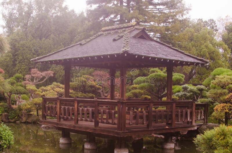 Japanese Tea Garden Koi Fish Stock Image Image Of Pond Carpio