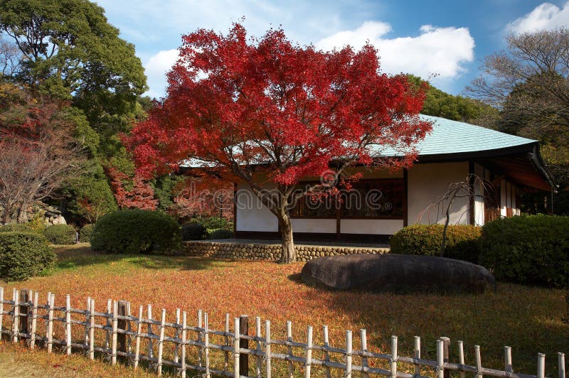 Autumn view on japanese tea house and garden