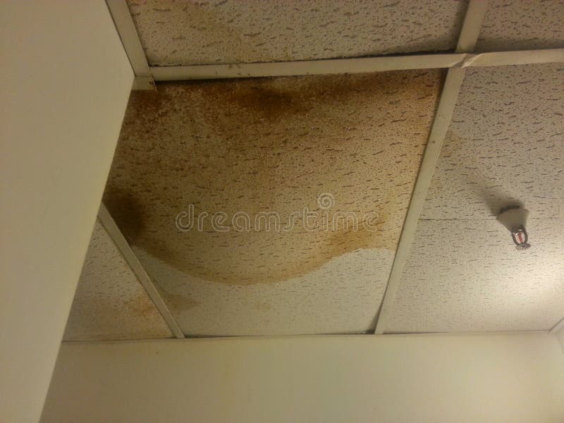 Ceiling Water Damage Stock Photos Download 1 065 Royalty Free Photos