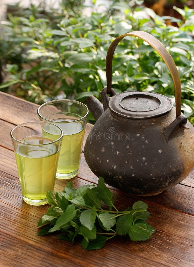 Japanese Teapot and Green Herbal Tea Stock Photo Image of herbal