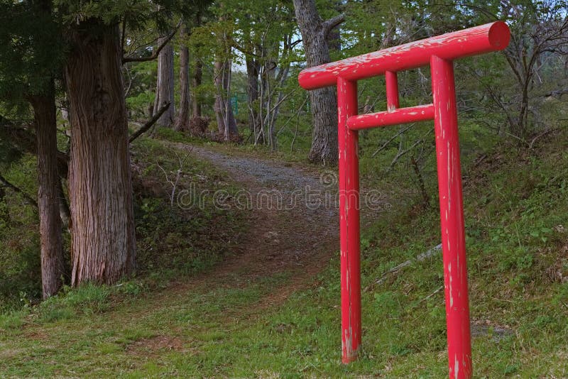 Japanese Torii Gate on a Forest Path Stock Image Image of trees, gate 219248795