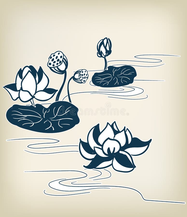 Engraving Illustration Water Lily Flower Stock Illustrations 326 Engraving Illustration Water