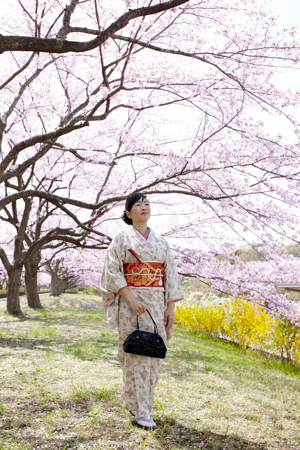 Japanese Woman Wearing Kimono And Cherry Blossoms Stock Image Image Of Japan Garden 213817533