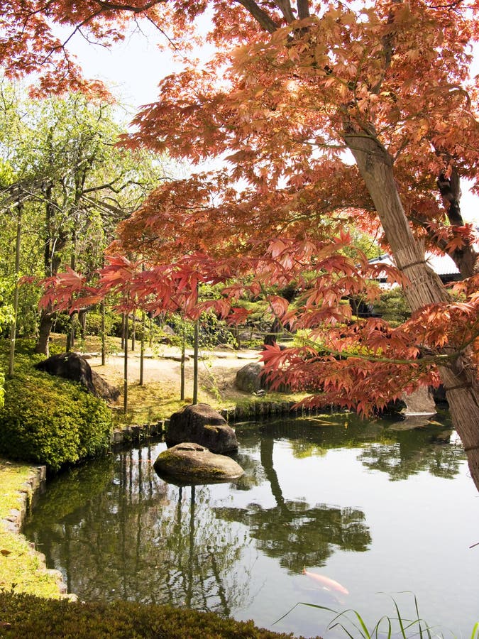 Japanischer Garten mit Ahornholzbaum stockfotografie Japanischer Garten mit Ahornholzbaum stockfotografie