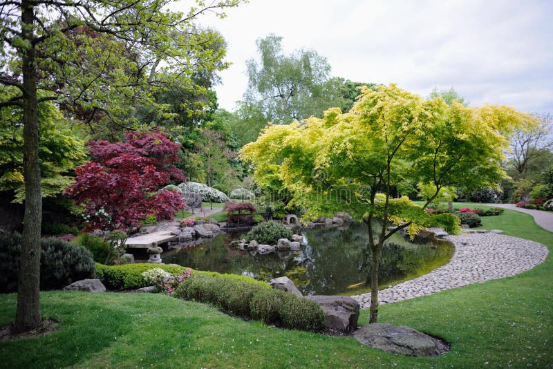 Japanischer Garten, mit Ahornholzbäumen und Teich lizenzfreies stockfoto Japanischer Garten, mit Ahornholzbäumen und Teich lizenzfreies stockfoto