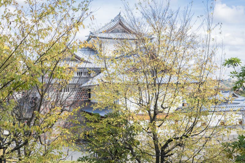 Japanischer traditioneller Architekturhintergrund mit sonniger Tageslandschaft Novembers