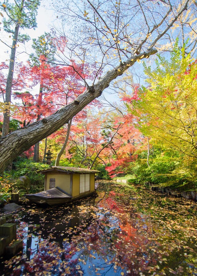 Japanse tuin in de herfst stock fotografie Japanse tuin in de herfst stock fotografie
