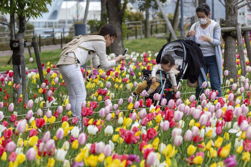 Japão, Tóquio, 04/08/2017 Os povos são fotografados no parque com tulipas de florescência imagens de stock royalty free Japão, Tóquio, 04/08/2017 Os povos são fotografados no parque com tulipas de florescência imagens de stock royalty free