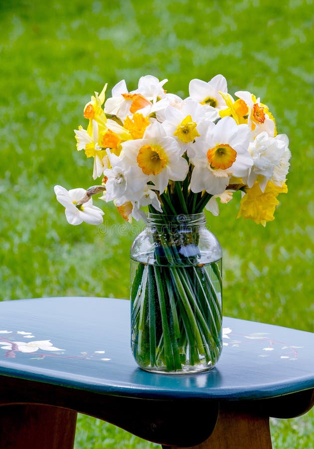 Daffodils in Jar stock image. Image of springtime, indoor 16113151