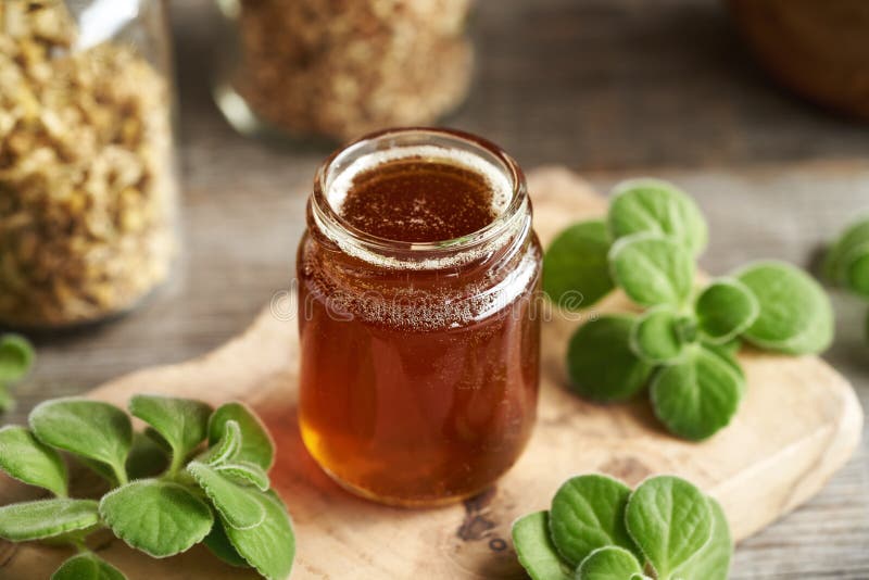 A jar of homemade Coleus amboinicus syrup for common cold