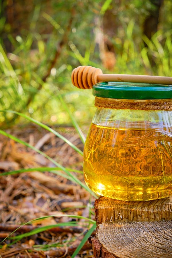 Jar Honey and Spoon for Honey in Forest on Stump Stock Photo Image of healthy, ingredient